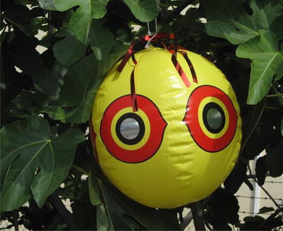PALLONE OCCHI RIFRANGENTI
