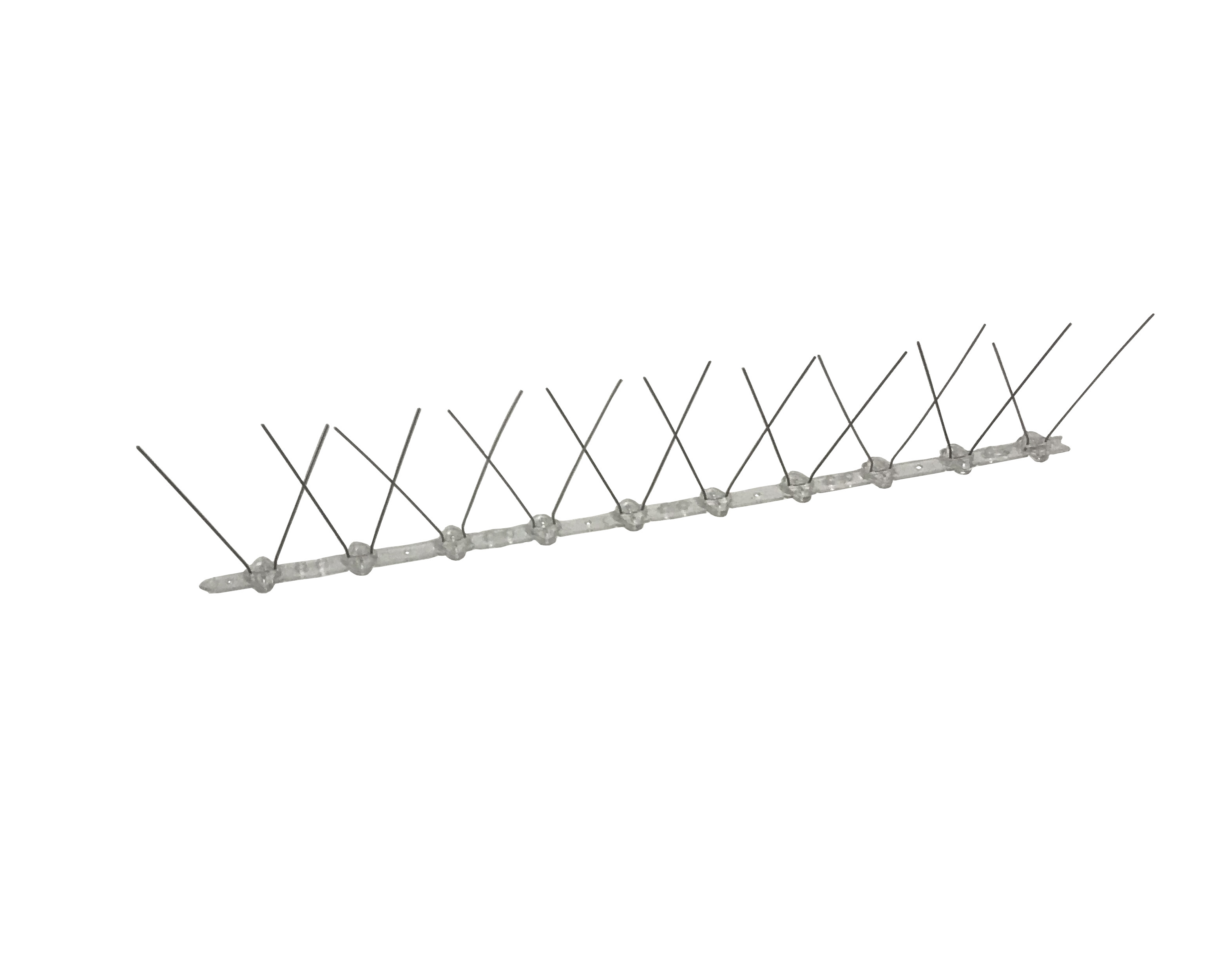 101