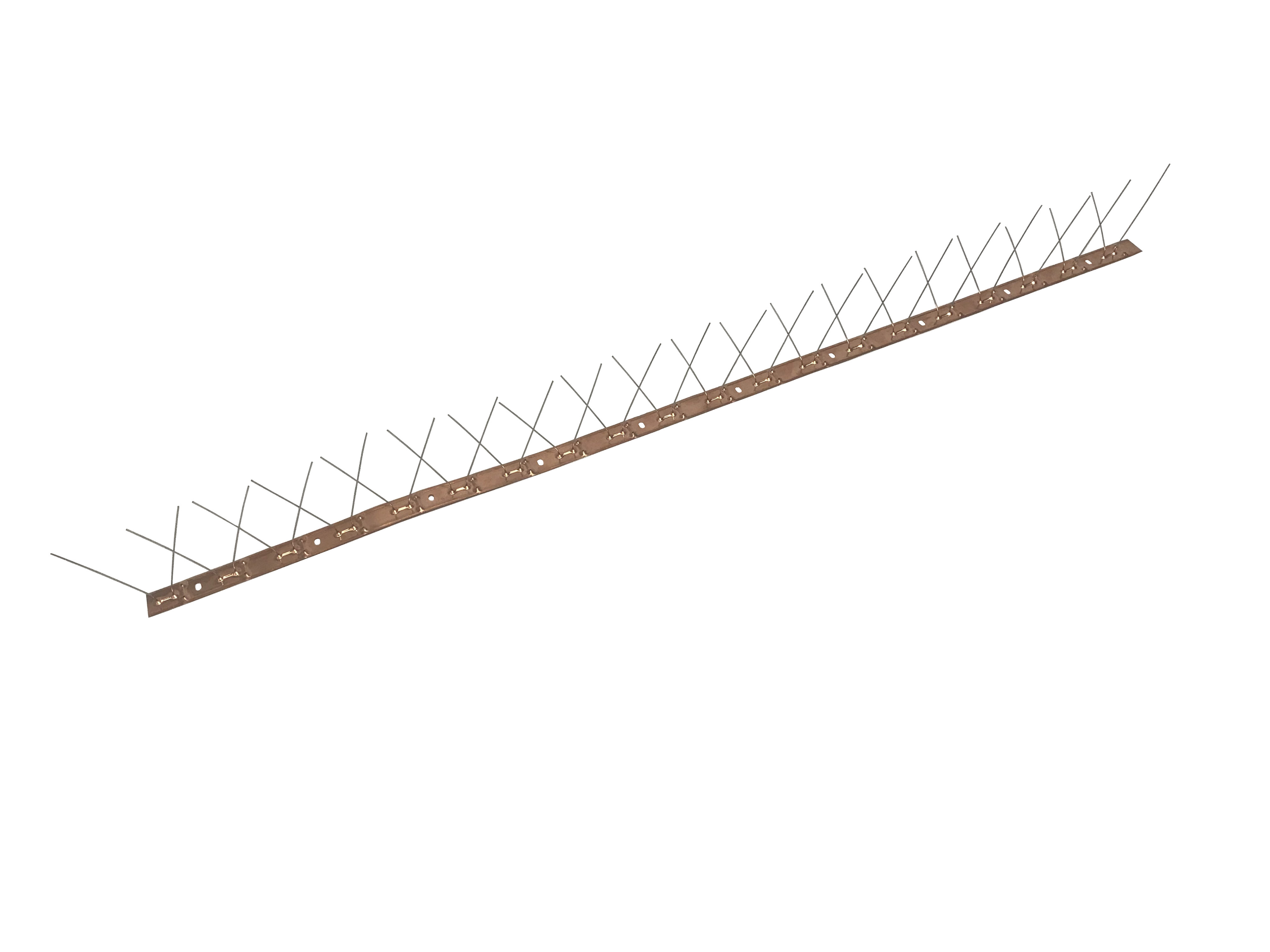 11_r